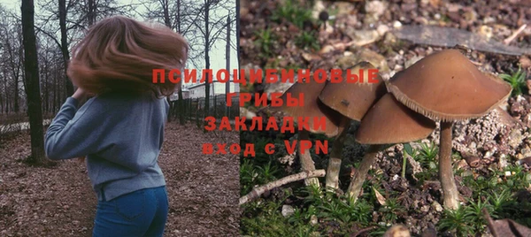 ешки Пересвет