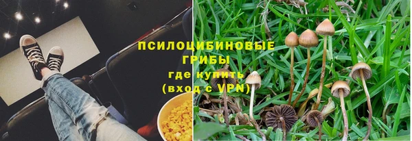 эйфоретик Армянск