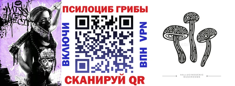 Галлюциногенные грибы Psilocybine cubensis  как найти наркотики  мега сайт  Жуков 